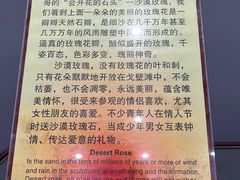 -游龙石文化科普馆