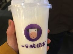 -一只酸奶牛(曲江龙湖星悦荟店)
