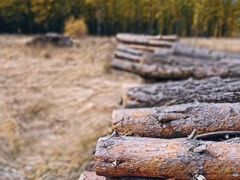 -塞罕坝国家级自然保护区