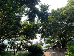 -青岛海滨风景区小青岛