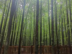 -山王坪喀斯特国家生态公园