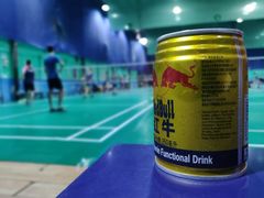 -先锋羽毛球馆