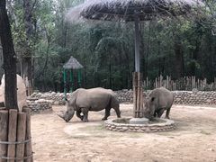 -北京野生动物园