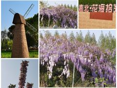 -嘉北郊野公园
