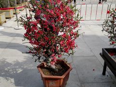 -陶然亭公园
