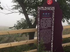 -阳台山自然风景区