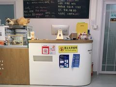 -Heymao猫咖.咖啡厅(东门店)