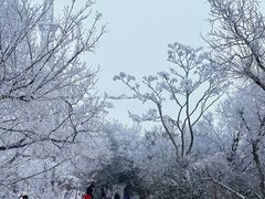 -紫金山山顶公园