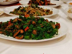 口蘑菌炒茴香-飞鹿餐饮·陕南菜(北关店)