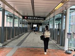 -香港大学