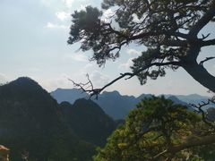 -大连天门山国家森林公园