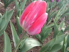 -长春公园(普阳街道)