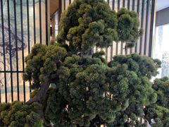 -聚鑫阁江浙菜·非遗传承技艺(闵行交大店)