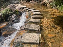 -杨厝六十六农庄农舍(杨厝路店)