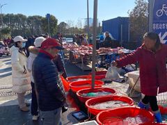 -雪绒花路停车场