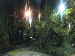 -绿光森林餐厅