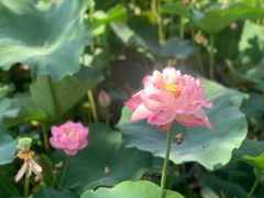 -廊坊文化艺术中心