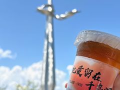 -鱼宴馆·家宴老字号淳鱼馆(千岛湖总店)