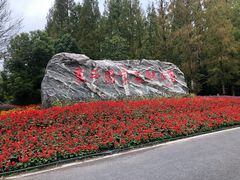 -东平国家森林公园