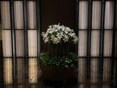 -上海璞麗酒店