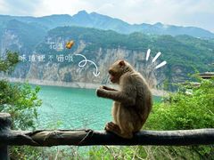 -白帝城·瞿塘峡景区