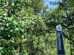 -青龙山国家森林公园