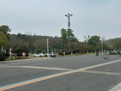 -羊山湖公园