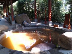 咖啡池-天目湖御水温泉·度假酒店