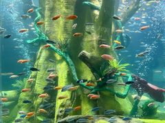 -合肥海洋世界