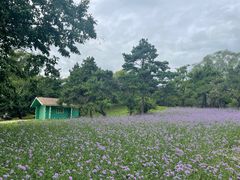 -沈阳植物园