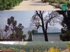 -消灾寺景区