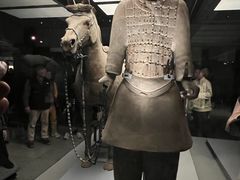 -秦始皇帝陵博物院-丽山园