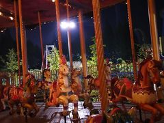 -锦江乐园舞狸花花游园会(夜场专享)