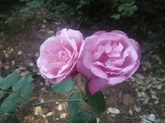 android_upload_pic-万达影城(泉舜广场PRIME店)