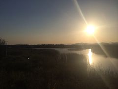 iphone_upload_pic-漩门湾国家湿地公园