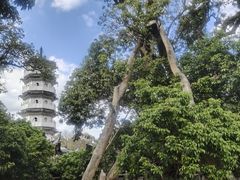 -国恩寺