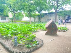 -绍兴鲁迅故里·沈园景区