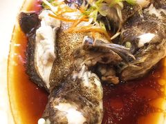 清蒸石斑鱼-悦林汤馆(观海店)