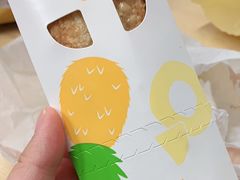 菠萝派-麦当劳(长泰商业广场店)