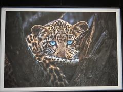 -罗红摄影艺术馆