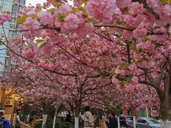 -番茄犟汤锅(东坝店)