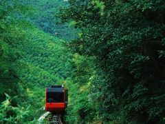 -紫藤园·天目湖大鱼头(南山竹海店)