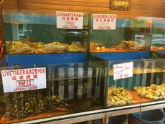 -真浪花园海鲜餐馆