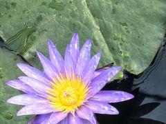 -国家植物园南园