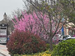 -王府井奥莱临潼小镇(临潼店)