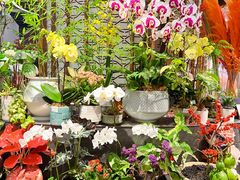 -Olé精品超市(广州太古汇店)