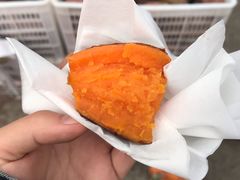 -秀丽东方