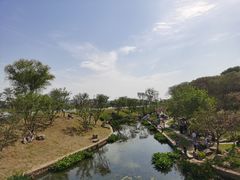 -羊山湖公园