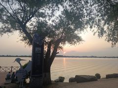 -丁香湖公园