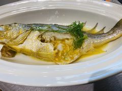-新光酒家·河豚·海鲜·蟹料理(浦东店)